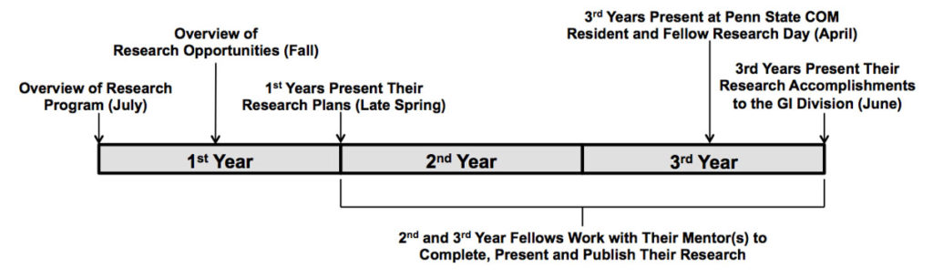 A timeline gives a visual overview of the Gastroenterology and Hepatology Fellowship Research Program, summarizing the information in the text above.